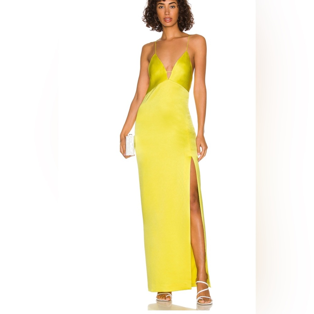 Alice and Olivia: Dakota Bias Slip Gown